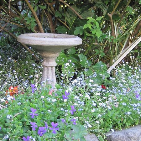 קאיקורה Brook House B&B & Cottages מראה חיצוני תמונה