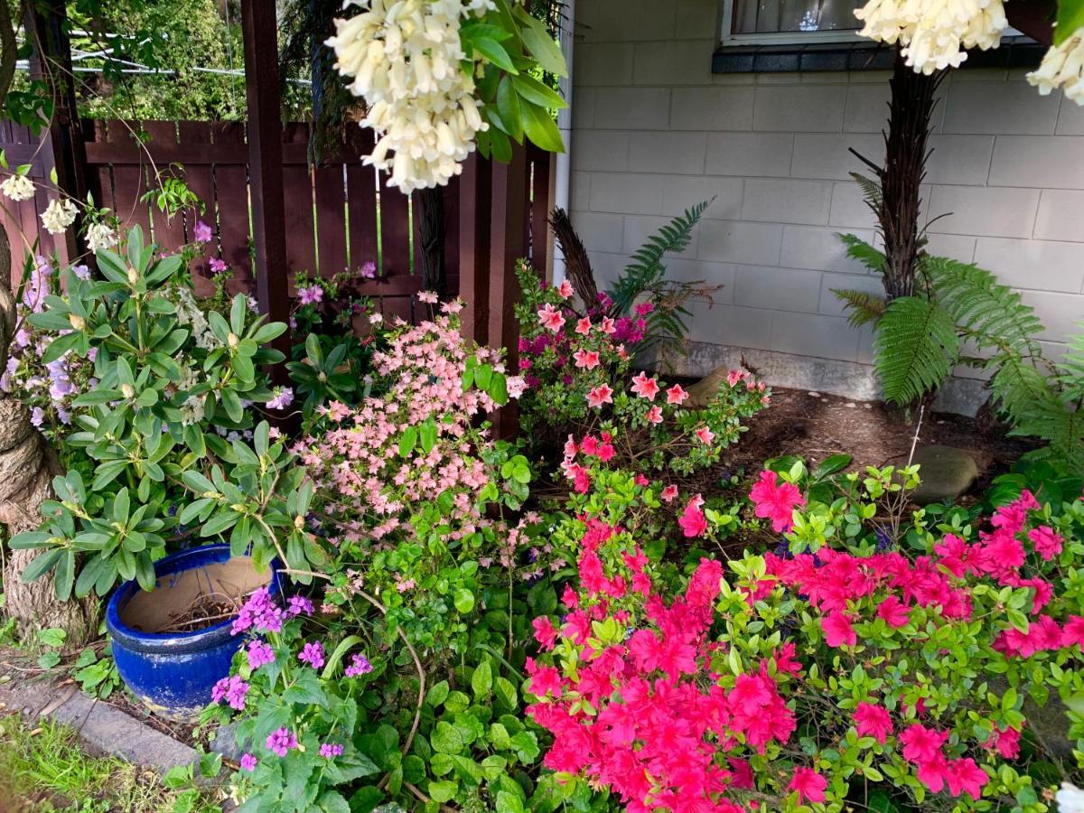 קאיקורה Brook House B&B & Cottages מראה חיצוני תמונה