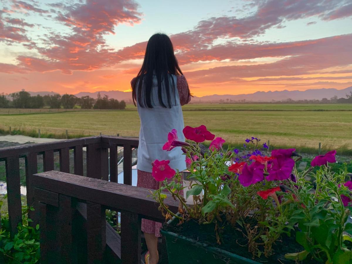 קאיקורה Brook House B&B & Cottages מראה חיצוני תמונה