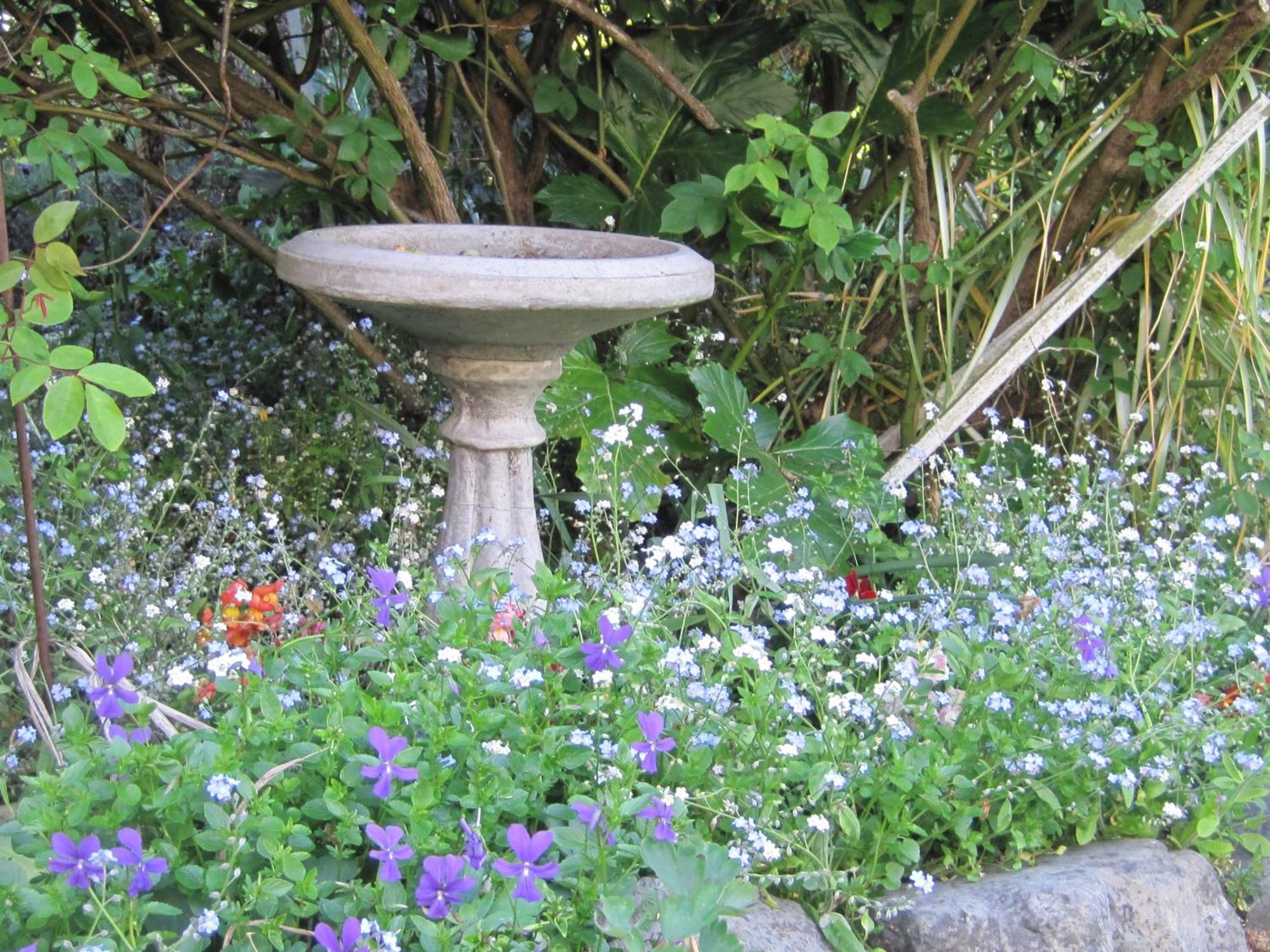 קאיקורה Brook House B&B & Cottages מראה חיצוני תמונה